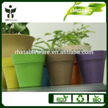 biodegradable garden pots decorations